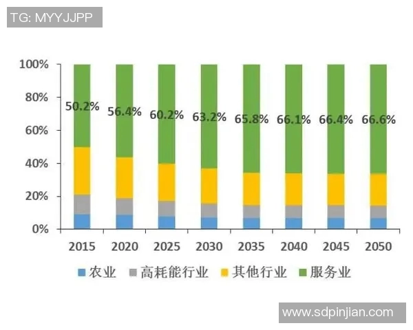 南京排球队个人能力分析与发展策略探讨